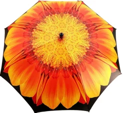 New Il Marchesato Classic con Disegno girasole