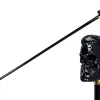 Sale Il Marchesato Elegant Cane with Sculpted Black Skull Handle and Gold Accents