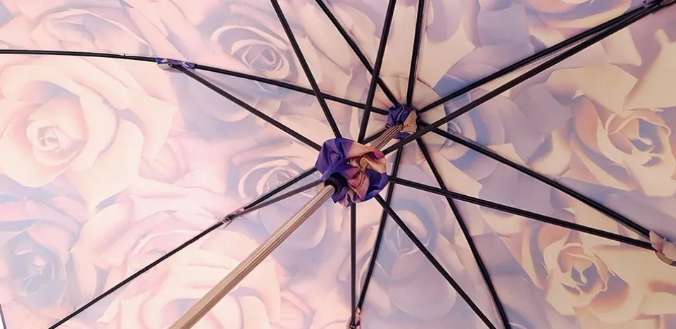 Best Il Marchesato Esclusivo disegno violetto - impugnatura placcata in argento e cristal
