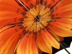 Outlet Il Marchesato Esclusivo ombrello disegno Girasole