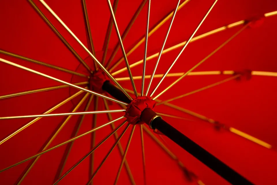 Outlet Il Marchesato LIMITED COLLECTION - Exclusive Red Umbrella with Jeweled Panther Handl